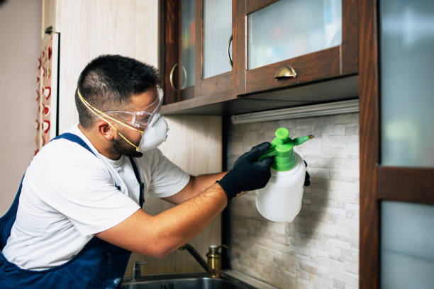 Best Rat Extermination Near Me  in Crestline, OH