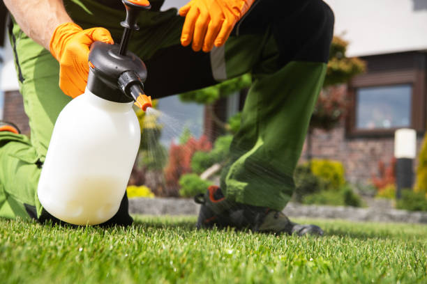 Best Local Pest Control Services  in Crestline, OH