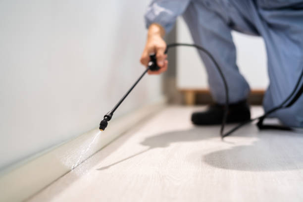 Best Best Pest Control Companies  in Crestline, OH
