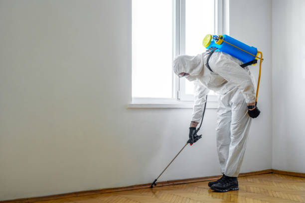 Best Pest Control for Homes  in Crestline, OH