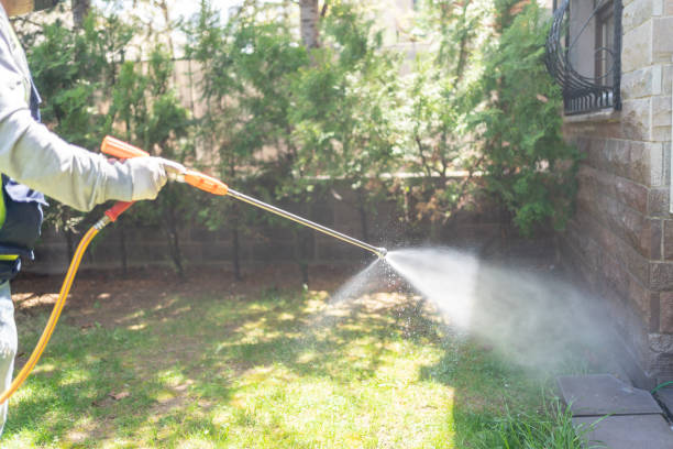 Best Pest Control Near Me  in Crestline, OH