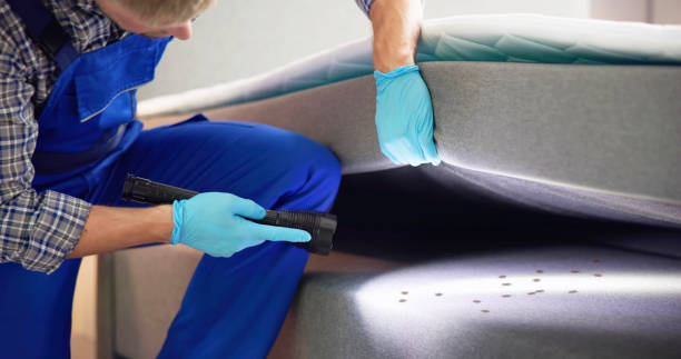 Best Emergency Pest Control  in Crestline, OH