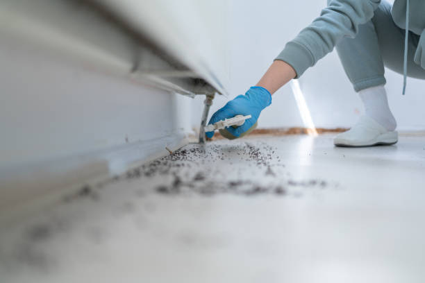 Best Pest Inspection Near Me  in Crestline, OH